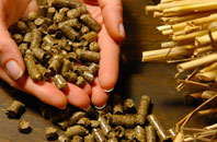 free Shreding Green biomass boiler quotes
